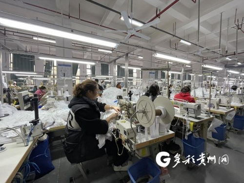 工廠建在家門口 產業就業雙豐收，職業中介活動助力發展